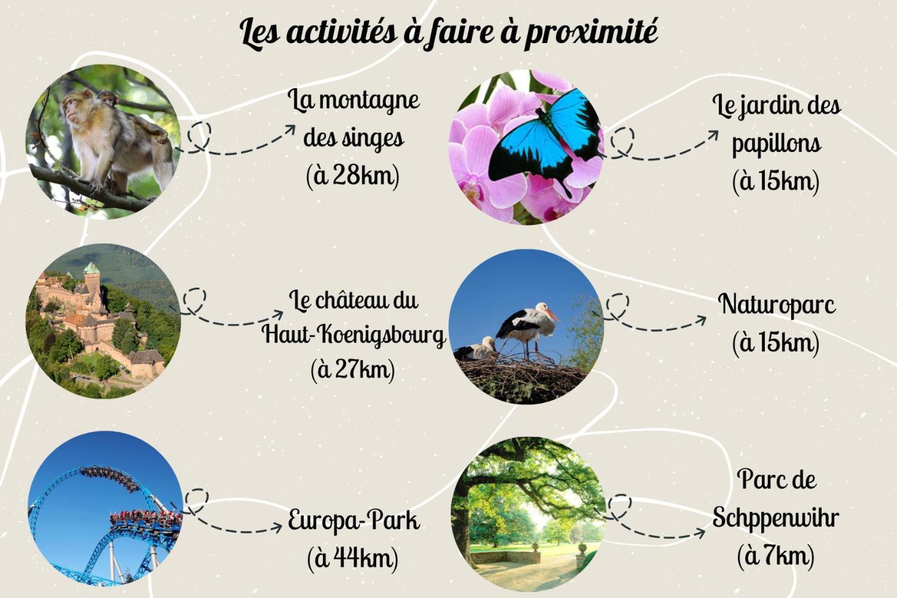 קולמר Le Rosacker - Proche Centre Ville Et Gare - Terrasse - Parking Gratuit 2 Places - 2 Chambres - 2 Salles De Bain - Netflix מראה חיצוני תמונה